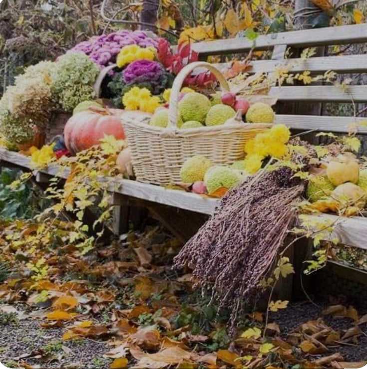 LINEA AUTUNNO